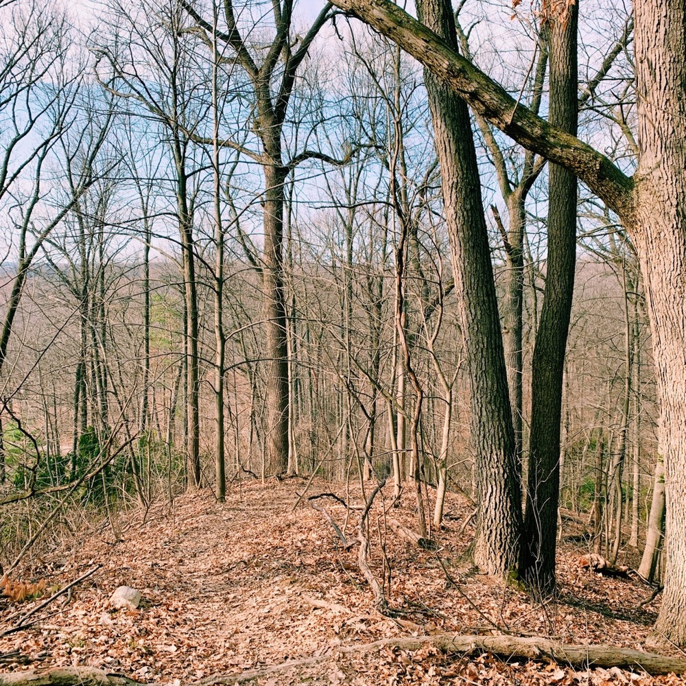 Meet your Posher, Celine